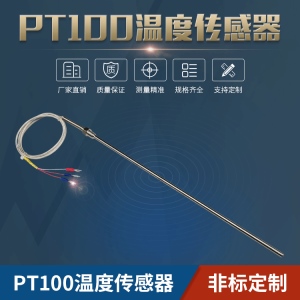 PT100温度传感器1